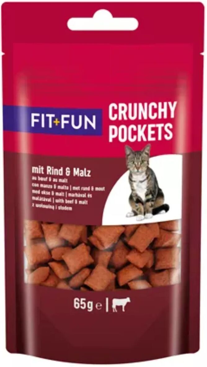 fit and fun crunchy pocket 65g manzo