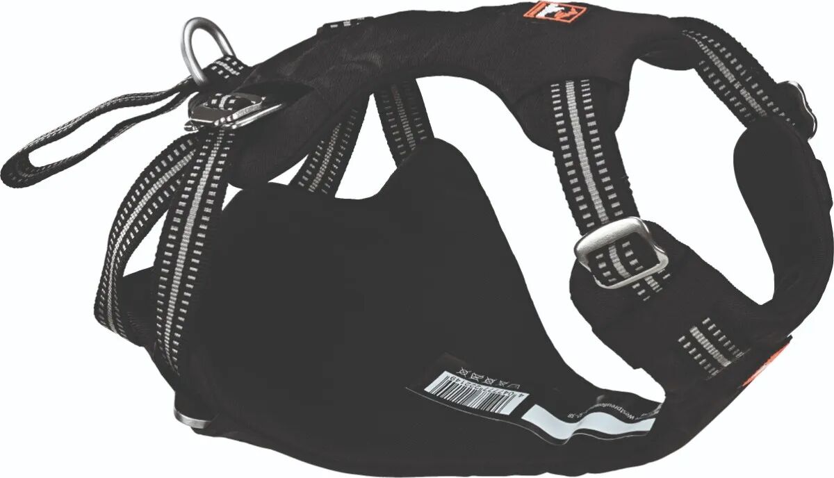 dogs creek pettorina safety xs