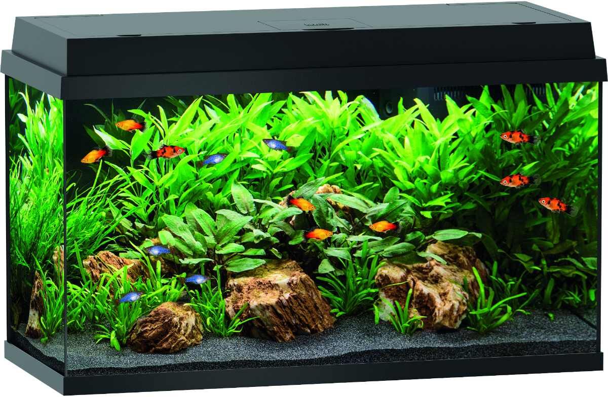 anione starter kit per acquario 80cm