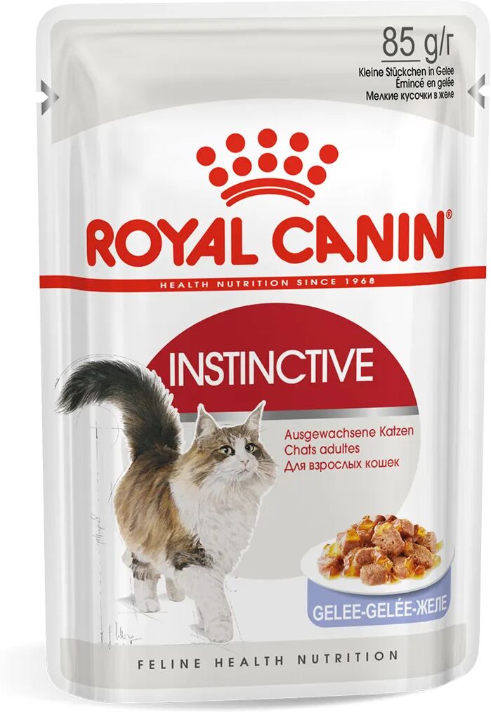 royal canin cat instinctive in gelatina busta multipack 48x85g carni e derivati