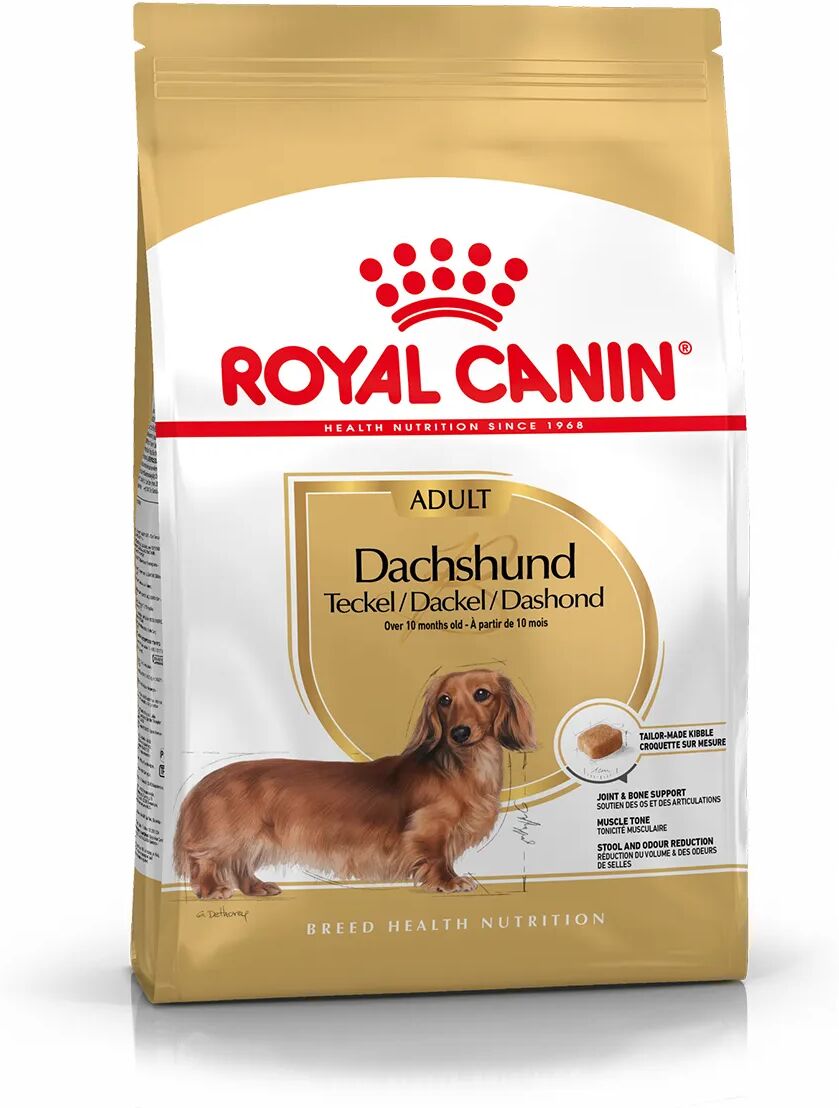 royal canin bassotto adult alimento completo per cani di razza adulti e maturi oltre 10 mesi di età 1.5kg