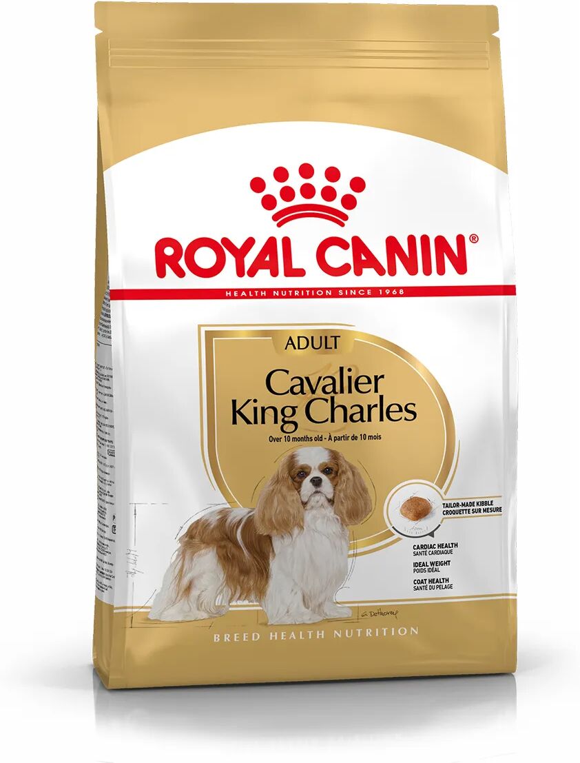 royal canin cavalier king spaniel adult alimento completo per cani di razza adulti e maturi oltre 10 mesi di età 1.5kg