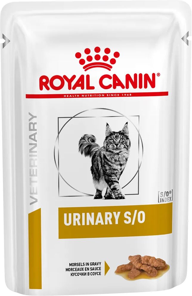 royal canin v-diet urinary s/o multipack sfilaccetti gatto 12x85g