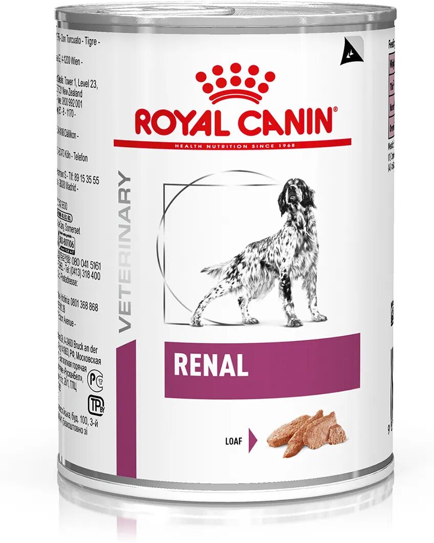 royal canin v-diet renal cane umido 410g