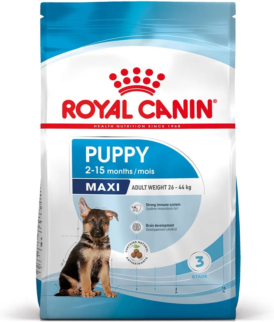 royal canin maxi puppy alimento completo per cuccioli di taglia grande fino a 15 mesi di età 15kg