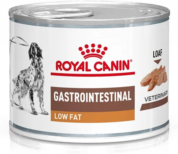 royal canin v-diet gastrointestinal low fat alimento dietetico completo per cani adulti 200g