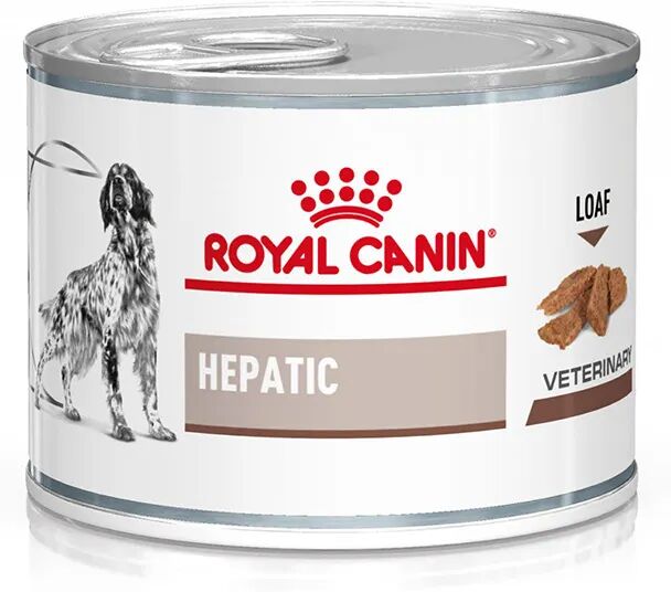 royal canin v-diet hepatic alimento dietetico completo per cani adulti 200g