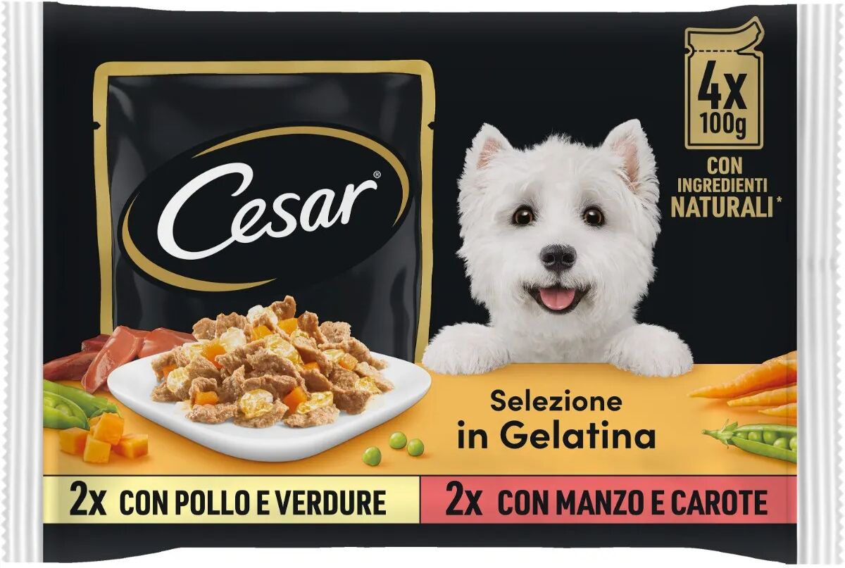 cesar dog busta in gelatina multipack 4x100g mix carne e verdura