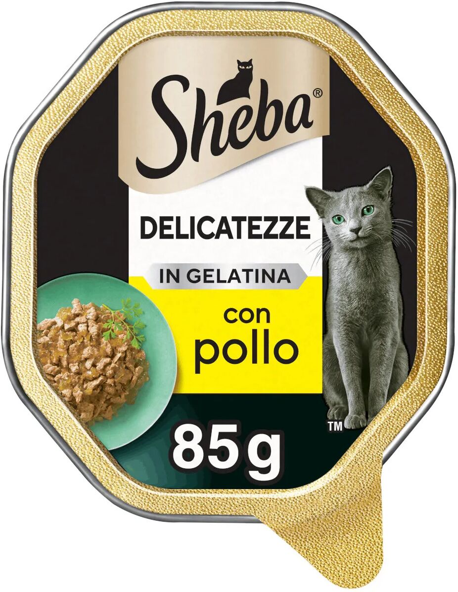 sheba delicatezze cat vaschetta multipack 22x85g pollo