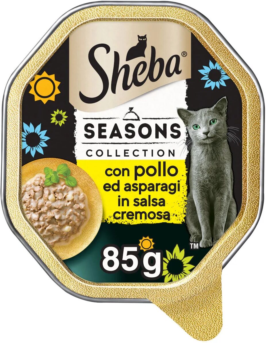 sheba season collection cat vaschetta multipack 22x85g pollo e asparagi