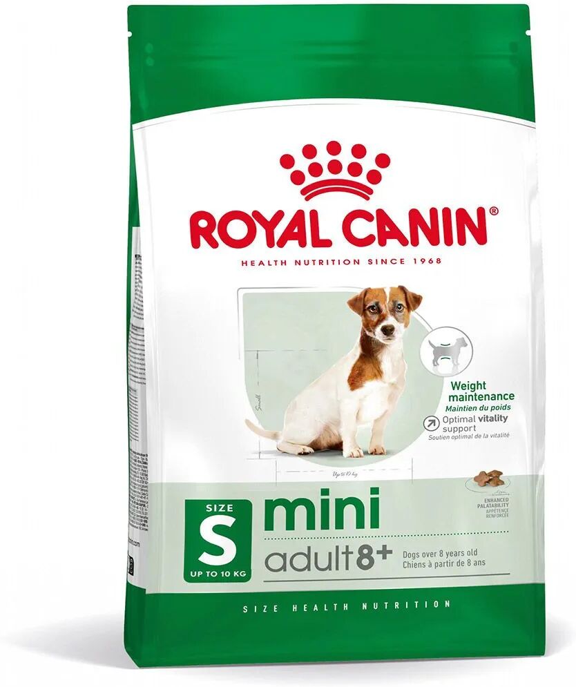 royal canin mini adult 8+ alimento secco completo per cani maturi di piccola taglia 800g