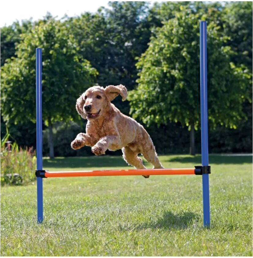 TRIXIE Gioco Ostacolo Agility per Cane 1 PZ