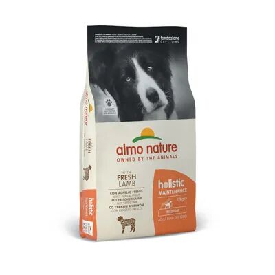 ALMO NATURE Holistic Maintenance Medium Agnello 12KG