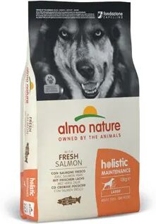 ALMO NATURE Holistic Maintenance Dog Large Salmone e Riso 12KG