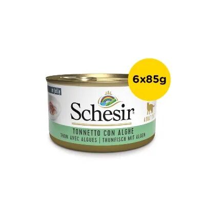 SCHESIR Cat Lattina Multipack 6x85G TONNETTO CON ALGHE