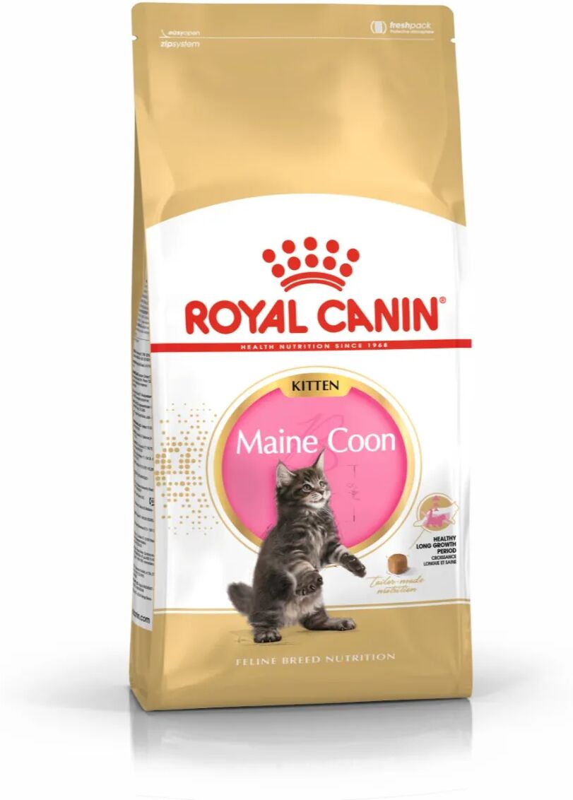 ROYAL CANIN Maine Coon Alimento completo per gattini fino a 15 mesi di età 2KG