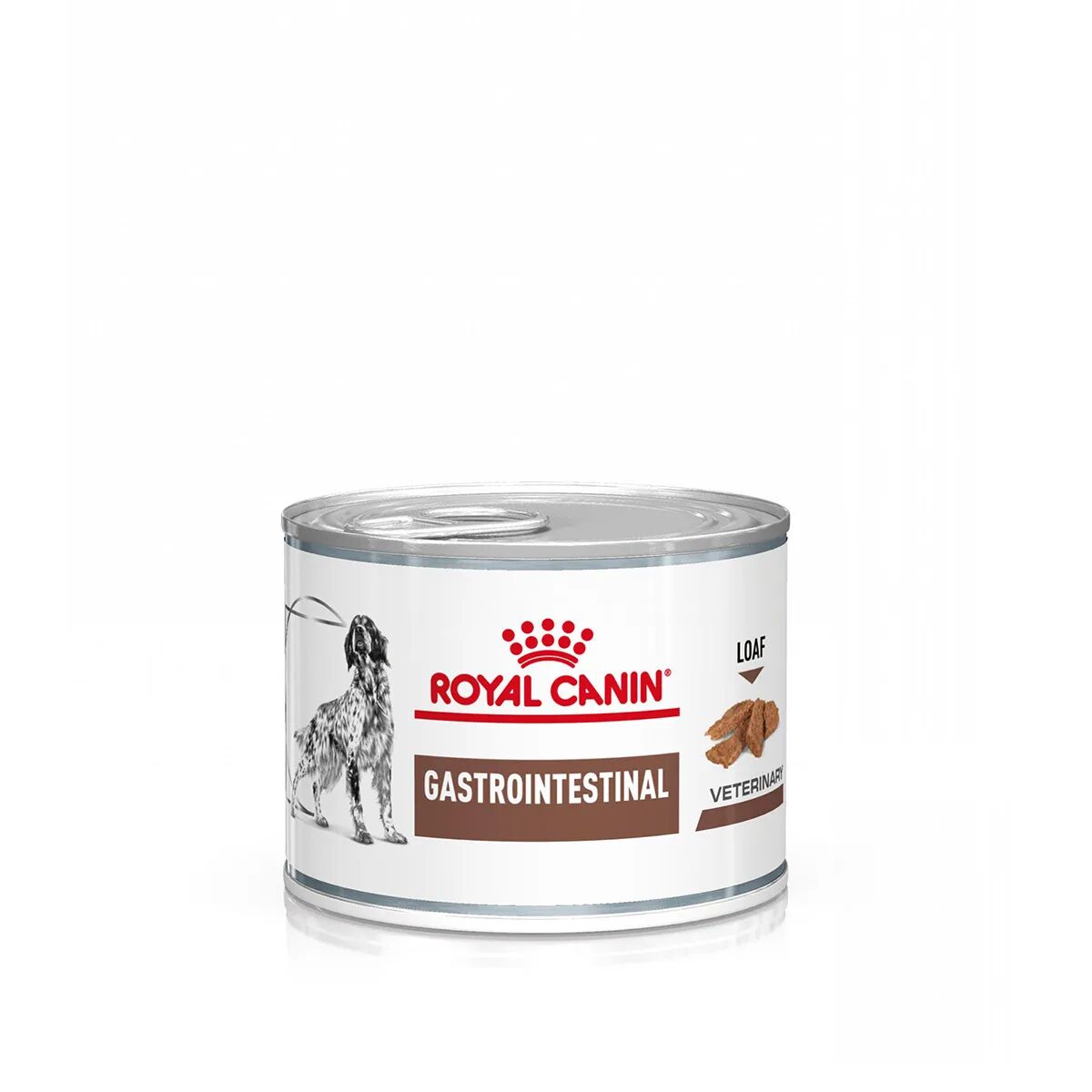 ROYAL CANIN V-diet Gastrointestinal Alimento dietetico completo per cani adulti 200G