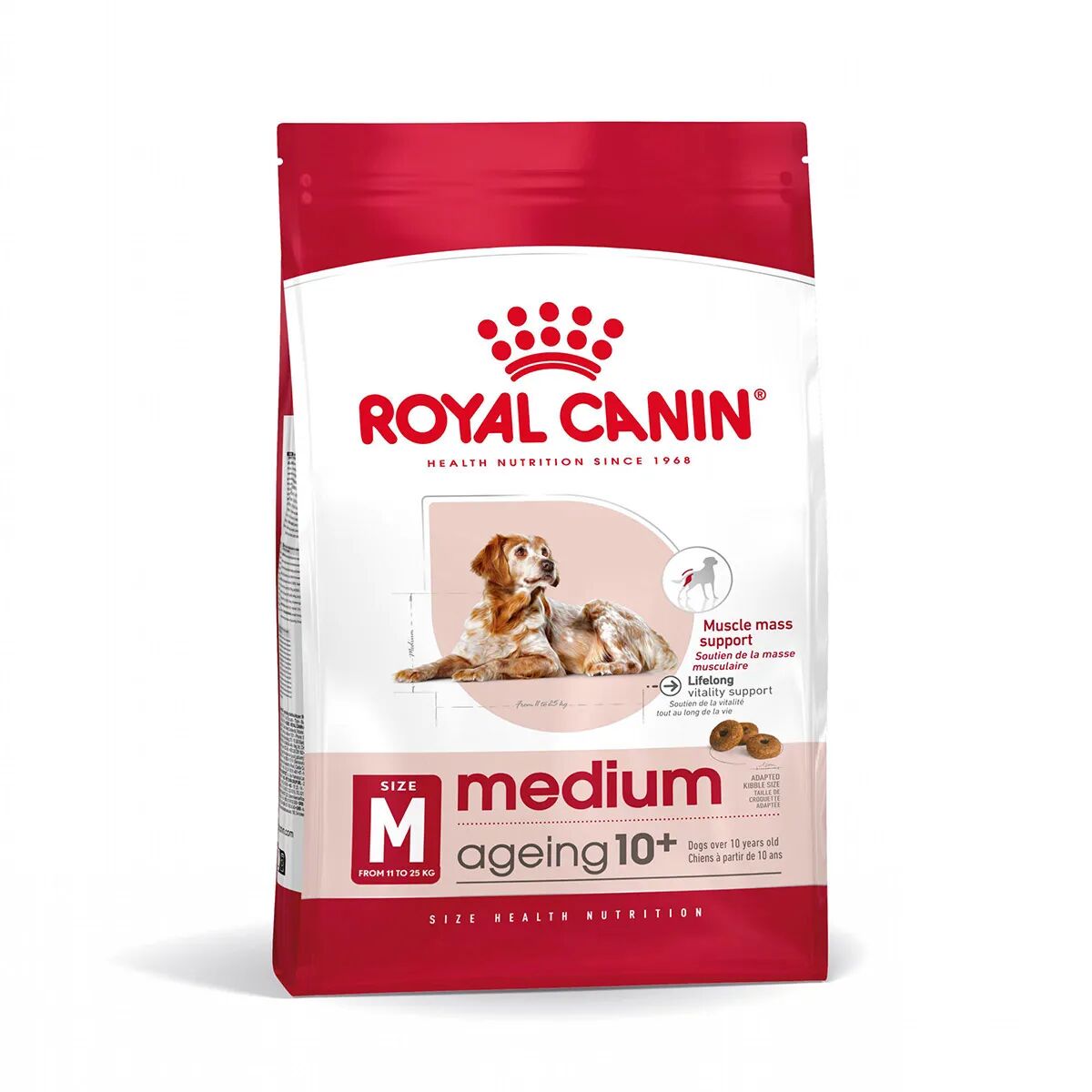 ROYAL CANIN Medium Ageing 10+ Alimento Secco Completo per Cani Anziani di Taglia Media 3KG