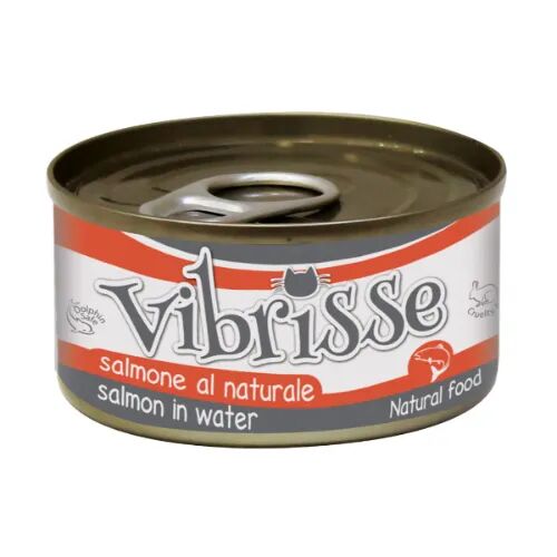 VIBRISSE Cat Lattina Multipack 24x70G SALMONE NATURALE