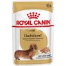 ROYAL CANIN Bassotto Dog Busta Multipack 48x85G CARNI E DERIVATI