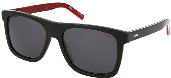 Hugo Boss HG 1009/S OIT/IR