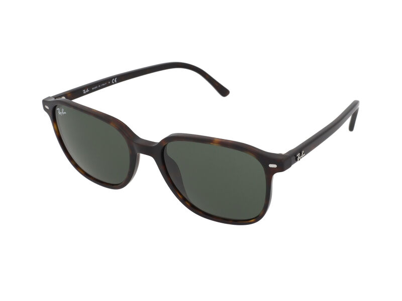 Ray-Ban Leonard RB2193 902/31