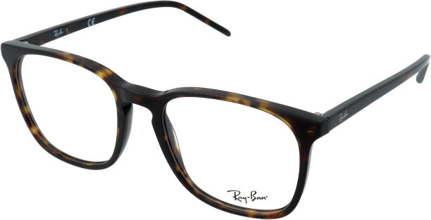 Ray-Ban RX5387 2012