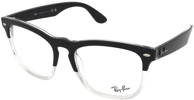 Ray-Ban Steve RX4487V 8193