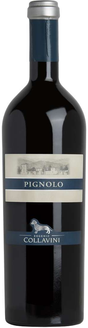 COLLAVINI Pignolo doc