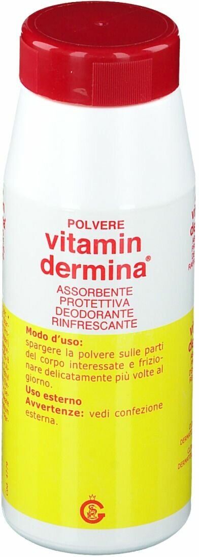 IST.GANASSINI SPA Vitamindermina Polvere Assorbente Deodorante 100 G