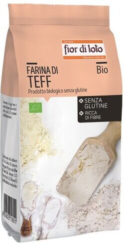 BIOTOBIO SRL Farina Teff Senza Glutine Bio 375 G