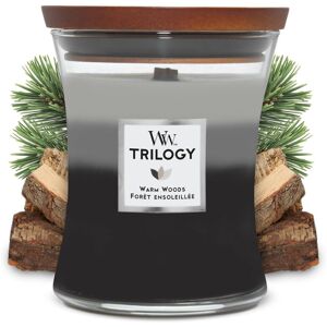 WOODWICK - Trilogy Candela Profumata A Clessidra Media Con Pluswick Innovation, Legno Caldo WOODWICK - Trilogy Candela Profumata A Clessidra Media Con Pluswick Innovation, Legno Caldo