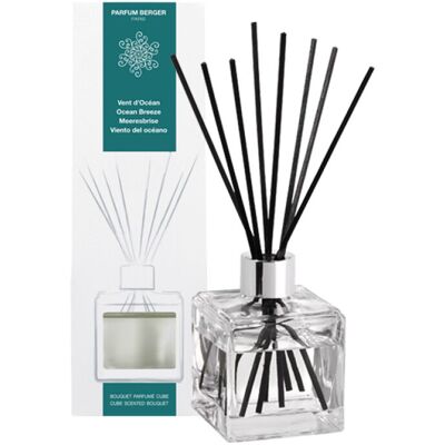 LAMPE BERGER - Maison Berger Bouquet Profumato Cubo Vent D'Océan 125ml LAMPE BERGER - Maison Berger Bouquet Profumato Cubo Vent D'Océan 125ml