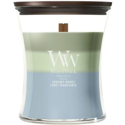 ALTRO Candela Clessidra Media Trilogy Verdant Woods 275g Woodwick ALTRO Candela Clessidra Media Trilogy Verdant Woods 275g Woodwick