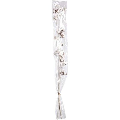 BIZZOTTO Mazzo Artificiale Cotone Fiori Secchi Bianchi Per Decorazione Ambienti BIZZOTTO Mazzo Artificiale Cotone Fiori Secchi Bianchi Per Decorazione Ambienti