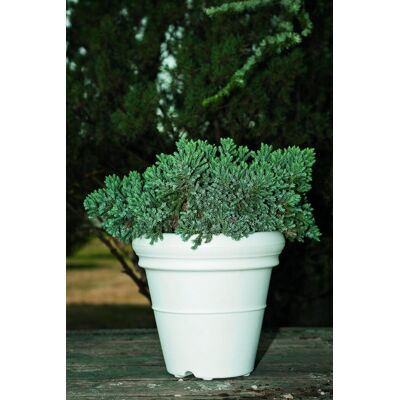 ELBI Vaso Resina Doppio Bordo Liscio Cm. 35 Bianco ELBI Vaso Resina Doppio Bordo Liscio Cm. 35 Bianco