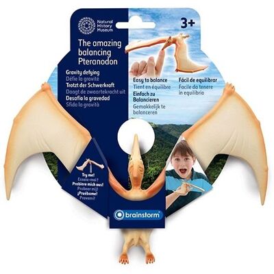 Brainstorm Giocattoli Il Pteranodone Bilanciante - Giocattolo Dinosaurio dai 3 Anni Brainstorm Giocattoli Il Pteranodone Bilanciante - Giocattolo Dinosaurio dai 3 Anni