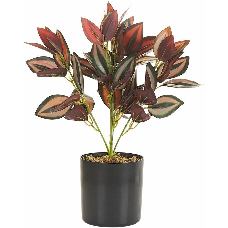 BELIANI Pianta artificiale decorazione per Interni pianta finta in materiale sintetico 35 cm Tradescantia - Nero