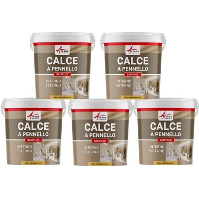 ARCANE INDUSTRIES Calce A Pennello Per Muri Esterni E Interni - Badiplus - 5 X 20 Kg Mentone Giallo - ARCANE INDUSTRIES Calce A Pennello Per Muri Esterni E Interni - Badiplus - 5 X 20 Kg Mentone Giallo -