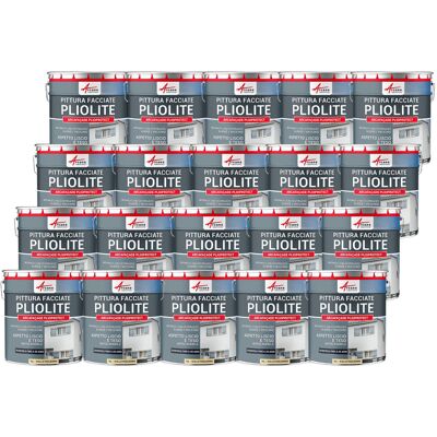 ARCANE INDUSTRIES Pittura Alla Pliolite : Per Facciate E Stucco - Arcafaçade Plioprotect - 20 X 10 L Giallo Paglia - Ral 085 90 30 - ARCANE INDUSTRIES Pittura Alla Pliolite : Per Facciate E Stucco - Arcafaçade Plioprotect - 20 X 10 L Giallo Paglia - Ral 085 90 30 -