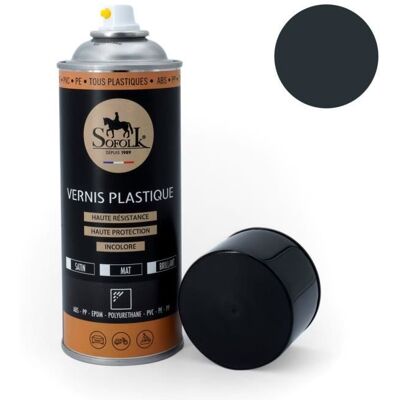 Sofolk - 3-athracite brillante - Anthracite - Brillant - Vernice spray Sofolk - 3-athracite brillante - Anthracite - Brillant - Vernice spray