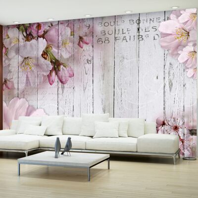 ARTGEIST - Fotomurale - Apple Blossoms - 400x280 ARTGEIST - Fotomurale - Apple Blossoms - 400x280