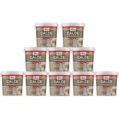 ARCANE INDUSTRIES Calce A Pennello Per Muri Esterni E Interni - Badiplus - 10 X 20 Kg Pisa Grigio Chiaro - ARCANE INDUSTRIES Calce A Pennello Per Muri Esterni E Interni - Badiplus - 10 X 20 Kg Pisa Grigio Chiaro -
