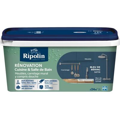 RIPOLIN Vernice Interna 3174264842281 Satinato Applicazione Diretta Resistente Umidità RIPOLIN Vernice Interna 3174264842281 Satinato Applicazione Diretta Resistente Umidità