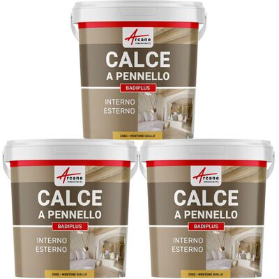 ARCANE INDUSTRIES Calce A Pennello Per Muri Esterni E Interni - Badiplus - 3 X 20 Kg Mentone Giallo - ARCANE INDUSTRIES Calce A Pennello Per Muri Esterni E Interni - Badiplus - 3 X 20 Kg Mentone Giallo -