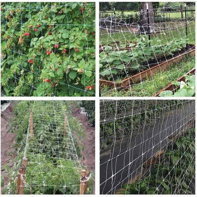 BRIXO Rete Sostengreen H120 Rt. Ml.100 BRIXO Rete Sostengreen H120 Rt. Ml.100