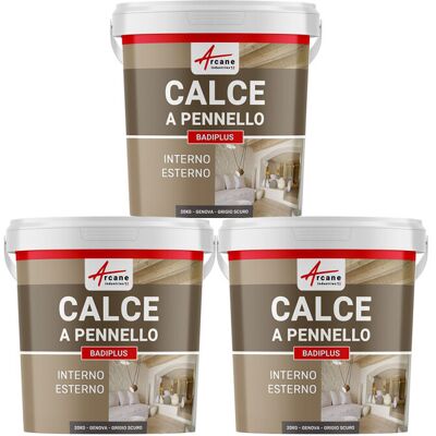 ARCANE INDUSTRIES Calce A Pennello Per Muri Esterni E Interni - Badiplus - 3 X 20 Kg Genova - Grigio Scuro - ARCANE INDUSTRIES Calce A Pennello Per Muri Esterni E Interni - Badiplus - 3 X 20 Kg Genova - Grigio Scuro -