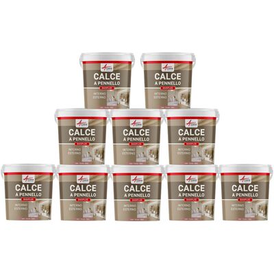 ARCANE INDUSTRIES Calce A Pennello Per Muri Esterni E Interni - Badiplus - 10 X 20 Kg Tolosa - Rosa - ARCANE INDUSTRIES Calce A Pennello Per Muri Esterni E Interni - Badiplus - 10 X 20 Kg Tolosa - Rosa -