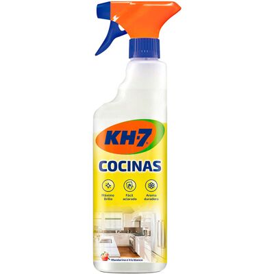 EDM Detergente Per Cucine Mandarino E Iris 500 Ml EDM Detergente Per Cucine Mandarino E Iris 500 Ml