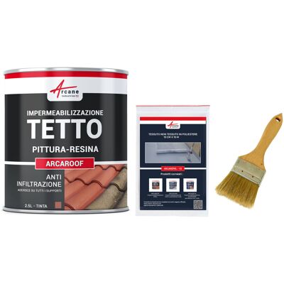 ARCANE INDUSTRIES Guaina Liquida Per Tegole, Resina Impermeabilizzante Per Tegole - Arcaroof Pack - 2,5 L (fino A 1,5 M²) Tegola - ARCANE INDUSTRIES Guaina Liquida Per Tegole, Resina Impermeabilizzante Per Tegole - Arcaroof Pack - 2,5 L (fino A 1,5 M²) Tegola -